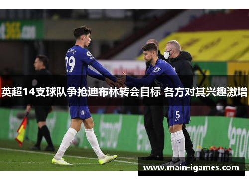 英超14支球队争抢迪布林转会目标 各方对其兴趣激增