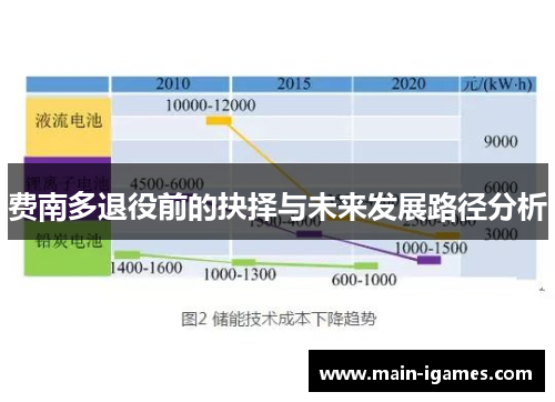 费南多退役前的抉择与未来发展路径分析