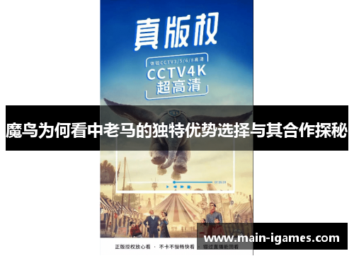 魔鸟为何看中老马的独特优势选择与其合作探秘